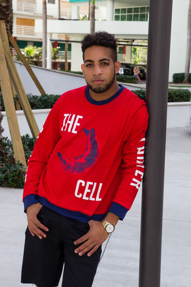 The Sickled cell red sweatshirt aka The Fighter